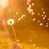 lonelyhappy_me