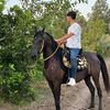 salama12331