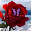 mariasocorro5041