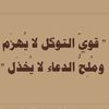 balqis_12m