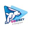 gogibey_kz