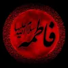 user227686015079