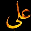 sayedzain781