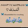 feyisal6