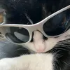 l1nnoz