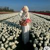 marwa.sd43