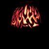 calebschwartz263