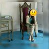 moonaabbasi786