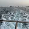 op90__7