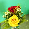 rosita.fresitha