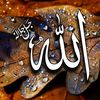onlyallahlove6