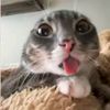 jidane_20