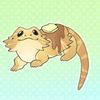 .beardeddragon1