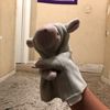lamythesheep_tiktok