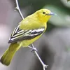 teoteo0807