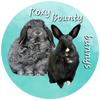 roxy_bounty_bunnys