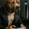 o_coreanogameplay