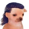 pepitopiernaslargas