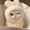 phuong_nguyen248
