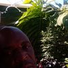 user8354474014618
