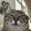 bwatiemeo