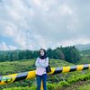SINTHA.
