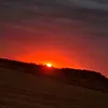 snezik_