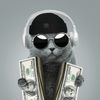 catman7788