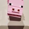 piggy1223444