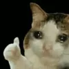 user1f0rzsiow3