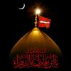 13mhamabbas