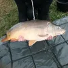 oeildetiktok