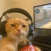 davizxd01