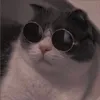 an_alien123