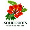 solidrootsdem