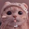 thanhthao.1.5.0.2
