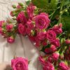 muhammedkhalid197