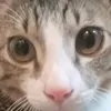 boogerlover13