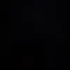 username28829296