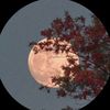 serendipity_614