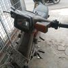 gasehummat99
