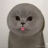 itsurbabytiarr