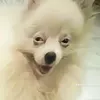 hyhy_16647