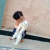 naeemiqbal4952
