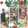 istiqomahwidary