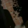 nek0iuem