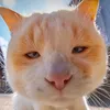hetkhodoiten8