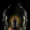 lingam.lee