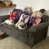 jo_grumblelodge