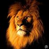 user9qkmndp7qv